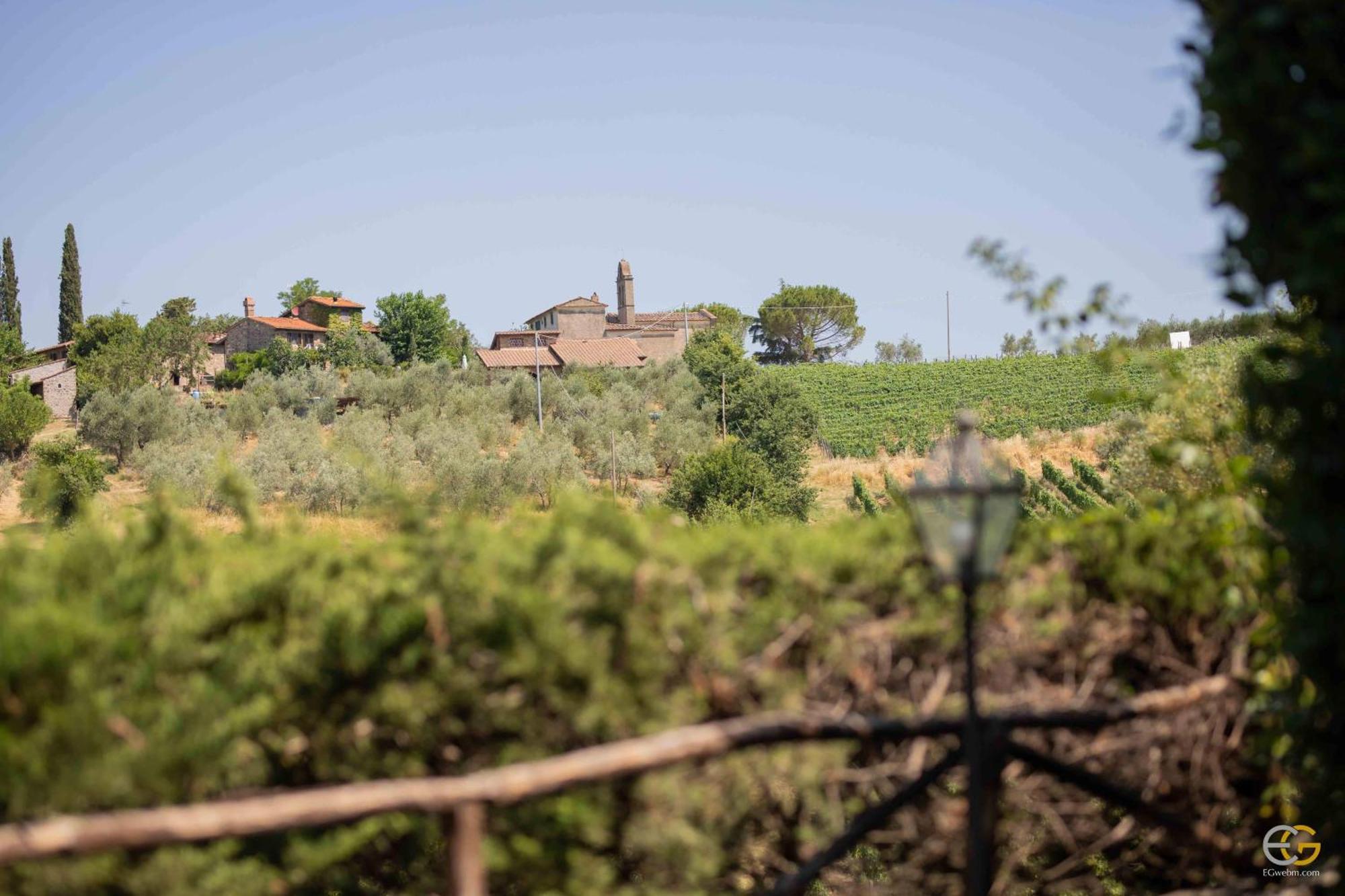 Terre Di Melazzano - Le Di Patrizia Bauernhof Greve in Chianti