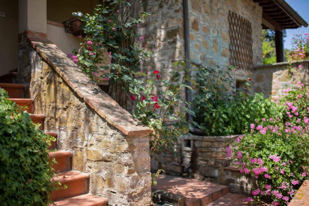 Bauernhof Terre Di Melazzano - Le Di Patrizia Greve in Chianti