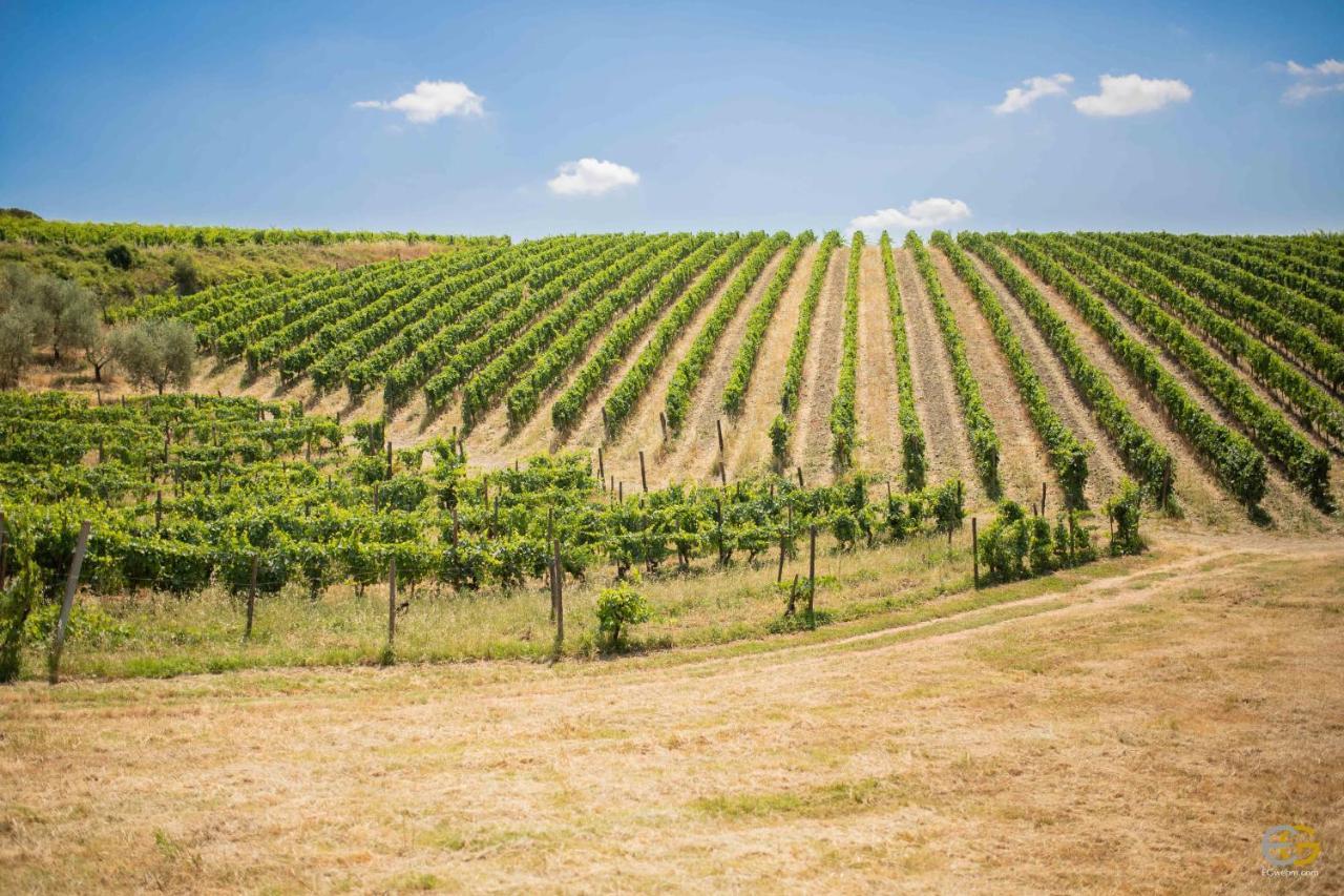 Terre Di Melazzano - Le Di Patrizia * Greve in Chianti
