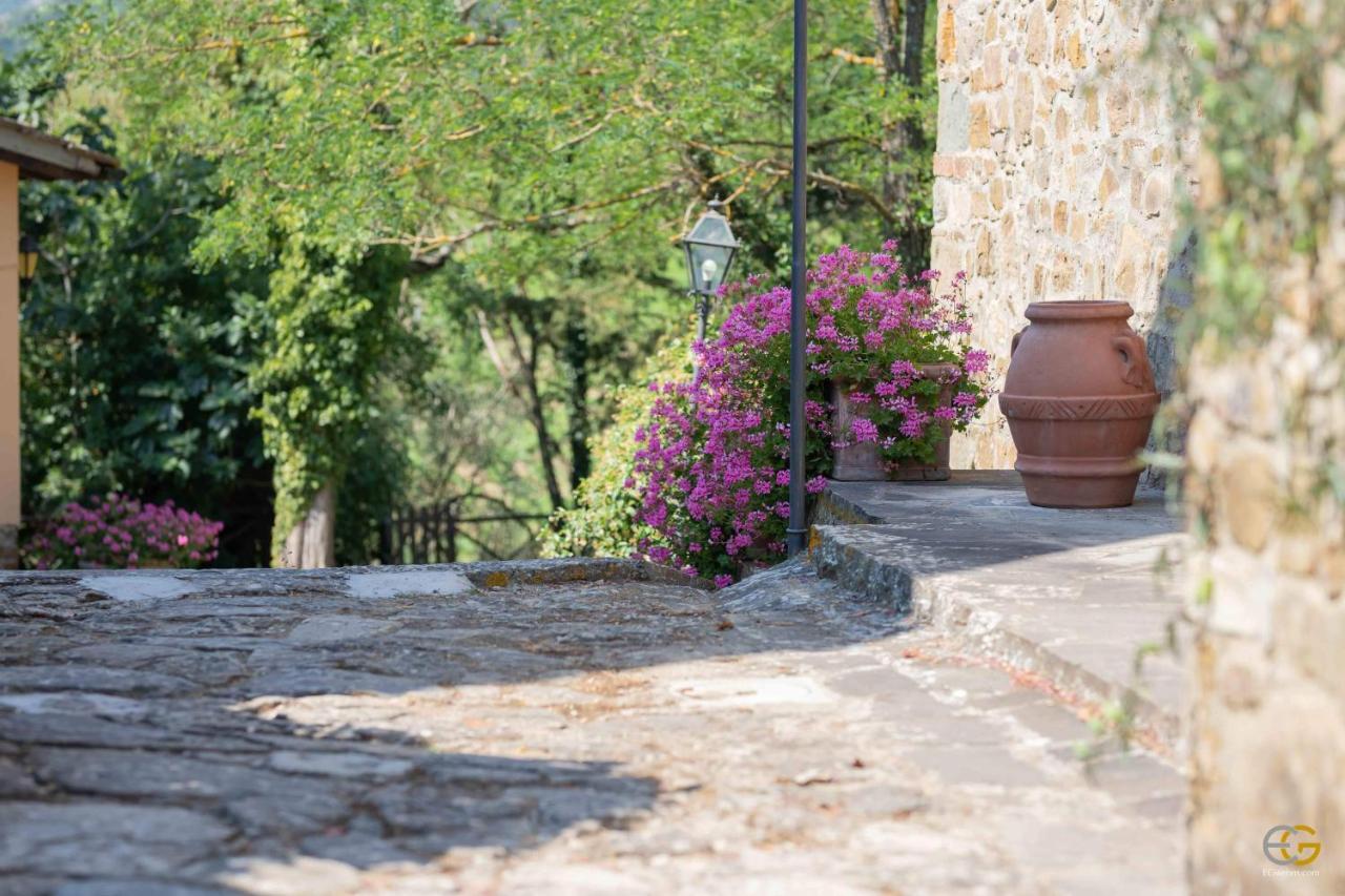 Terre Di Melazzano - Le Di Patrizia