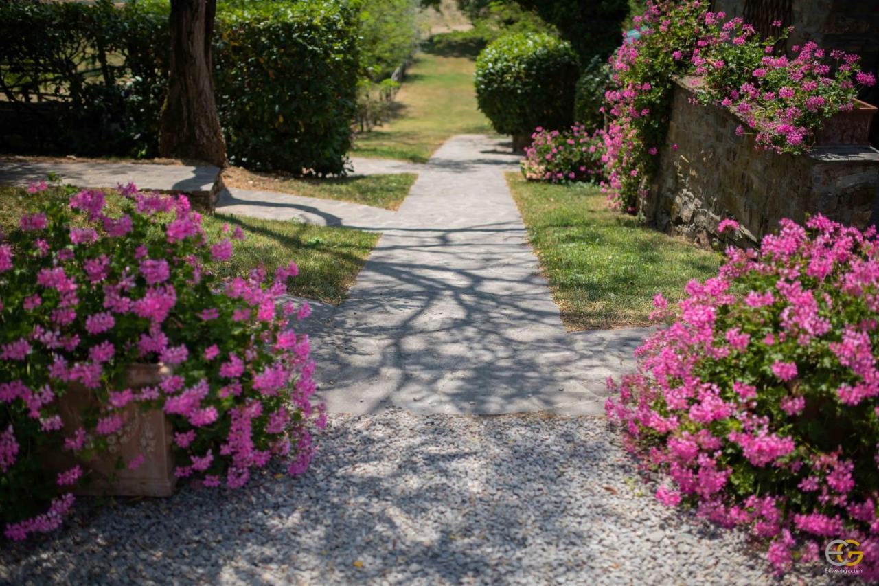 Terre Di Melazzano - Le Di Patrizia * Greve in Chianti